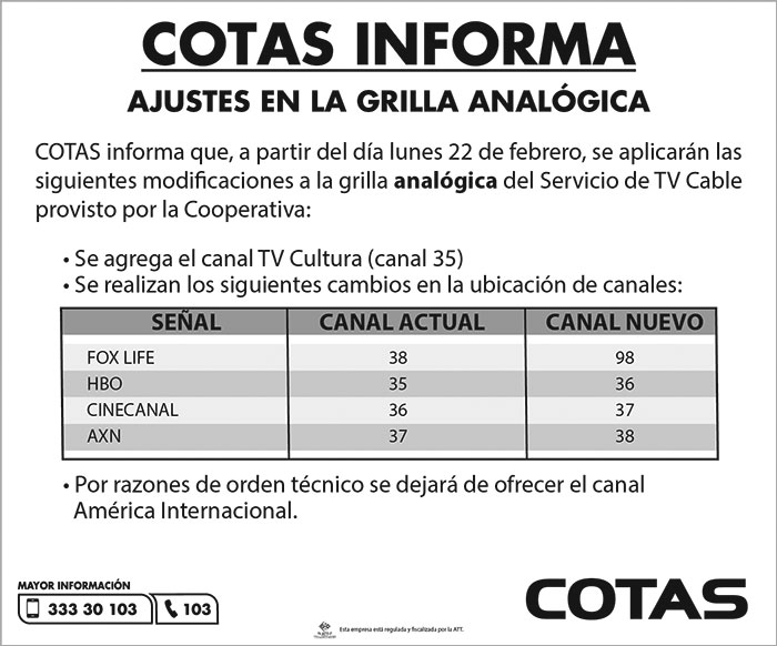 grilla analogica220221
