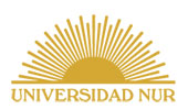 logo-nur17