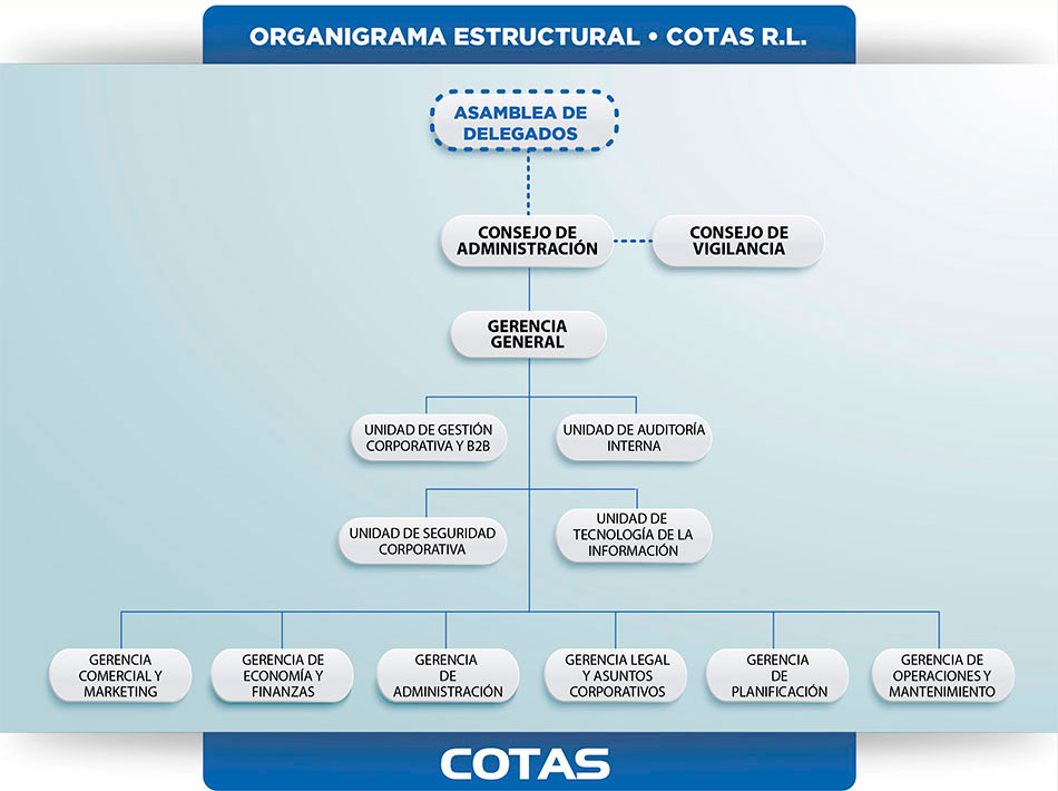 organigrama14