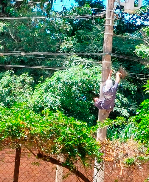 Roba Cables 22042022